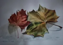 Otoño_02